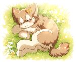  arthropod ayaka blush brown_body brown_fur butterfly canid canine canis countershading domestic_dog eyes_closed feral flower fur fuuga grass hybrid insect lepidopteran male mammal outside plant simple_background sleeping solo tail white_body white_fur wolf 