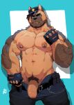  2021 abs absurd_res anthro ashendawger beard belt blake_(ashendawger) blue_background bottomwear canid canine canis chain clothed clothing domestic_dog facial_hair fingerless_gloves flirting_look foreskin genitals german_shepherd gloves handwear herding_dog hi_res male mammal muscular muscular_anthro muscular_male navel nipple_piercing nipples open_bottomwear open_clothing open_pants pants pastoral_dog pecs penis piercing police police_hat pubes simple_background solo watermark 