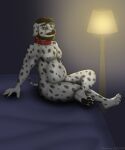  animal_genitalia anthro beard bed belly canid canine canis collar dadbod dalmatian digital_media_(artwork) domestic_dog facial_hair furniture genitals hi_res male mammal nude paws penis penis_tip pose rahir_(artist) sheath sitting slightly_chubby solo 