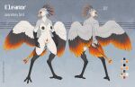  accipitriform anthro avian bird digitigrade feathered_crest feathered_wings feathers female harmaagriffin head_crest hi_res highlights_(coloring) long_legs model_sheet nipple_piercing nipples orange_highlights piercing secretary_bird slim solo wings 