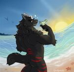  anthro azki_(azki_wolf) beach beverage black_body black_fur black_nose butt canid canine canis container cup drinking_glass eyewear food fruit fur glass glass_container glass_cup hi_res lime looking_at_viewer looking_back male mammal muscular muscular_anthro muscular_male plant red_stripes seaside smile smiling_at_viewer solo solo_focus spottymichi stripes sunglasses sunglasses_on_face sunset wave white_body white_fur wolf 