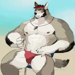  abs anthro armpit_hair body_hair bulge canid canine canis clothing coyote echo_(series) echo_project fuddyblog hi_res looking_at_viewer male mammal muscular muscular_anthro muscular_male nipples pecs sitting solo swimwear the_smoke_room william_adler 