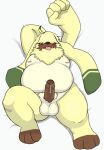  angoramon anthro balls bandai_namco bed belly blep bodily_fluids digimon digimon_(species) digimon_ghost_game erection foreskin fupa fur furniture genital_fluids genitals goenym hair hair_over_eyes lagomorph leporid long_ears lying male mammal moobs nipples on_back overweight penis precum rabbit solo tongue tongue_out yellow_body yellow_fur 