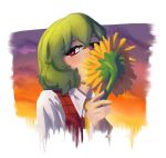  1girl absurdres commentary flower gradient_sky green_hair highres kazami_yuuka looking_at_viewer neo_lyte red_eyes short_hair sky solo sunflower touhou upper_body yellow_flower 