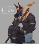  1boy animal_ears animal_head anubis_(mythology) armlet bara black_skin colored_skin cropped_legs dougaku_(passionpit777) egyptian egyptian_mythology from_side furry furry_male hand_on_own_chin hieroglyphics highres jackal_boy jackal_ears jackal_tail large_pectorals loincloth male_focus muscular muscular_male pectorals pubic_hair pubic_hair_peek sitting solo sparse_navel_hair thighs thinking topless_male 