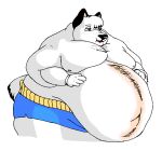  2009 anthro belly big_belly blue_eyes bottomwear canid canine canis chuck_(danellz) clothing danellz digital_media_(artwork) domestic_dog fur male mammal morbidly_obese morbidly_obese_anthro morbidly_obese_male obese obese_anthro obese_male open_mouth overweight overweight_anthro overweight_male shorts simple_background solo weight_gain white_background white_body white_fur 