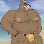  anthro ashigara barazoku beach bear belly bikini_thong bracelet brown_bear bulge claws clothing eyewear grizzly_bear hi_res jewelry lifewonders lucknomz male mammal overweight overweight_male pecs seaside solo summer sunglasses swimwear thong tokyo_afterschool_summoners underwear ursine 