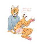  andromorph anthro anus claws clothed clothing collar dialogue felid feline fur genitals green_eyes hi_res hoodie intersex mammal odd_lee0 partially_clothed pawpads pink_pawpads pussy serval solo topwear yellow_body yellow_fur 