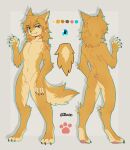  2023 3_toes 5_fingers absurd_res altern015 alternate_species anthro blonde_hair blue_eyes butt canid canine canis claws ear_piercing ear_ring featureless_crotch feet fingers fur furrification hair hi_res link link_(wolf_form) looking_at_viewer male mammal model_sheet nintendo nude pawpads piercing ring_piercing signature simple_background smile solo tail the_legend_of_zelda toe_claws toes white_body white_fur wolf yellow_body yellow_fur 