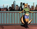  absurd_res anthro belt boots bottomwear canid canine city cityscape clothing eyewear female footwear fox fur glasses hi_res lt._fox_vixen mammal navel orange_body orange_fur purple_eyes railing sacrificabominat sea sek_studio shirt shorts sky solo squirrel_and_hedgehog t-shirt topwear water white_body white_fur 