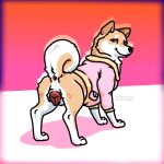  1:1 anatomically_correct anatomically_correct_genitalia anatomically_correct_pussy animal_genitalia animal_pussy anus blush butt canid canine canine_genitalia canine_pussy canis clothed clothed_feral clothing curled_tail digital_media_(artwork) domestic_dog female feral fluffy fluffy_tail fur genitals hdoge_(artist) jacket looking_at_viewer mammal orange_eyes panama_(hdoge) presenting presenting_hindquarters presenting_pussy pussy shiba_inu simple_background solo spitz tail tan_body tan_fur topwear white_body white_fur 