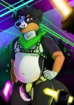  absurd_res anthro bernese_mountain_dog black_body bottomwear bulge canid canine canis chubby_anthro chubby_male clothed clothing detailed_bulge digital_media_(artwork) domestic_dog glowstick hand_on_hip happy harness hi_res looking_at_viewer male mammal marvelous_managerie molosser mountain_dog nipples open_mouth overweight rave simple_background smile solo standing swiss_mountain_dog teeth 