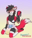 anthro begging blush blush_lines bodily_fluids canid canine clothed clothing collar diaper diaper_use fox genital_fluids hi_res holding_leash holding_object leash looking_at_viewer male mammal omopaws pawpads solo solo_focus urine wearing_diaper wetting 