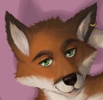  ambiguous_gender anthro canid canine ear_piercing ear_ring fox green_eyes headshot_portrait mammal piercing pink_background portrait ring_piercing rov simple_background smile smirk smirking_at_viewer solo 