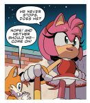  amy_rose canid canine clothing duo eulipotyphlan female fox hedgehog male mammal miles_prower panties sega sonic_the_hedgehog_(series) underwear upskirt 