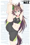  1girl animal_ears armpits bike_shorts brown_hair character_name cowboy_shot ear_ornament green_eyes horse_ears horse_girl horse_tail long_hair looking_at_viewer midriff mr._c.b._(umamusume) navel shigino_sohuzi solo split sports_bra standing standing_on_one_leg standing_split tail umamusume 