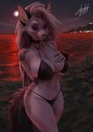  absurd_res anthro beach big_breasts bikini blulesnsfw breasts canid canid_demon clothed clothing collar demon female fluffy fluffy_tail grey_hair hair hellhound helluva_boss hi_res looking_at_viewer loona_(helluva_boss) mammal midriff navel red_eyes sea seaside skimpy solo spiked_collar spikes sunset swimwear tail tongue tongue_out water 