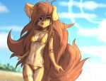  2023 absurd_res anthro apogee_(tinygaypirate) bikini breasts canid canine canis clothed clothing cloud day digital_media_(artwork) domestic_dog female female_anthro floppy_ears fur hair hi_res kemono long_hair looking_at_viewer mammal navel outside piercing portrait sky small_breasts solo spitz swimwear tail tattoo thigh_gap three-quarter_portrait tinygaypirate 