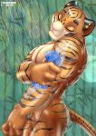 anthro bathing felid female hi_res mammal muscular pantherine shower showering solo terragon tiger tyra_(terragon) 