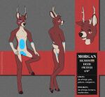  5_fingers anthro antlers biped blue_eyes countershade_fur countershade_neck countershade_tail countershade_torso countershading deer english_text eyebrows eyes_closed fingers fur hooves horn linkscape male mammal model_sheet morgan_(linkscape) scut_tail short_tail smile solo tail text 