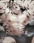  1boy abs animal_ears arknights armpit_hair armpits arms_behind_head artist_request bara boxers facial_hair furry furry_male goatee grey_male_underwear highres large_hands large_pectorals male_focus male_underwear mountain_(arknights) muscular muscular_male nipples pectorals presenting_armpit scar scar_across_eye scar_on_arm short_hair sitting solo steaming_body stomach sweat thick_eyebrows tiger_boy tiger_ears topless_male underwear white_hair 