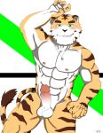 abs absurd_res anthro balls biceps casual_erection casual_nudity erection felid fur genitals hanzo_james hi_res humanoid_genitalia humanoid_hands humanoid_penis male mammal muscular muscular_anthro muscular_male navel nipples nude pantherine pecs penis simple_background solo solo_focus stripes tiger 