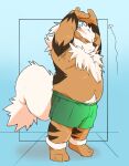  2023 anthro anthrofied arcanine belly clothing eyes_closed generation_1_pokemon hi_res inunoshippo kemono male nintendo overweight overweight_male pokemon pokemon_(species) solo stretching underwear 