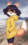  anthro canid canine clothing coastline coat elronya fan_character female fox hi_res mammal maple outside raincoat seashore solo topwear 