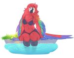  anthro avian beak bikini bird breasts clothing eyewear feathered_wings feathers feet_in_water female glasses hair hi_res omumacaw parrot pool scaly_legs solo solo_focus swimwear wings 