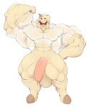  2019 abs absurd_res anthro balls beard big_muscles bovid brown_body caprine clothing eyes_closed facial_hair flexing freebird11 genitals goat hi_res hooves horn huge_muscles hyper hyper_muscles male mammal muscular penis shirt simple_background smile solo topwear translucent translucent_clothing translucent_shirt translucent_topwear white_background 