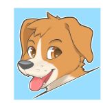  1:1 2021 anthro black_nose blue_background border brown_body brown_fur canid canine canis ddgio digital_media_(artwork) domestic_dog floppy_ears fur headshot_portrait looking_at_viewer mammal open_mouth open_smile portrait simple_background smile solo tongue tongue_out white_border 
