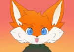  ambiguous_gender animated anthro blinking blue_eyes canid canine clothing dialogue fox front_view fur green_clothing green_sweater green_topwear looking_at_viewer male_(lore) mammal noarustar orange_body orange_fur pillzman_(character) short_playtime solo sweater talking_to_viewer topwear white_body white_fur 