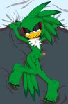  5_toes accipitrid accipitriform anthro avian balls barefoot bed bedroom bird colored_nails feet foot_ninja15 furniture genitals goth hi_res jet_the_hawk male nails nude penis sega solo sonic_riders sonic_the_hedgehog_(series) toes 