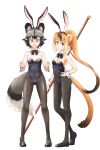  2girls african_wild_dog_(kemono_friends) alternate_costume animal_ears bare_shoulders black_bow black_bowtie black_footwear black_leotard black_pantyhose blush bow bowtie brown_hair detached_collar dog_ears dog_girl dog_tail embarrassed extra_ears flats full_body golden_snub-nosed_monkey_(kemono_friends) grey_eyes grey_hair highres kemono_friends leotard long_hair matching_outfit monkey_ears monkey_girl multicolored_hair multiple_girls naka_(nicovideo14185763) orange_hair pantyhose playboy_bunny short_hair staff strapless strapless_leotard tail weapon wrist_cuffs 