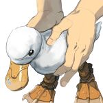  1other animal animal_focus bird duck grey_background hand_focus highres holding holding_animal level-00 mechanical_legs original serious simple_background 