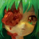  1girl body_horror close-up closed_mouth commentary cropped english_commentary flesh green_hair highres looking_at_viewer mutation original portrait solo ufoshock 