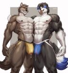  abs amon-sydonai anthro black_body black_fur black_hair blue_hair bodily_fluids border_collie brown_body brown_fur bulge canid canine canis clothed clothing collie domestic_dog dreamworks dripping duo floppy_ears fur genital_fluids genital_outline grin hair herding_dog hi_res highlights_(coloring) jockstrap jockstrap_only looking_at_viewer male male/male mammal mr._wolf_(the_bad_guys) obliques pastoral_dog pecs penis_outline precum precum_drip precum_through_clothing precum_through_jockstrap sheepdog smile teeth the_bad_guys tongue tongue_out topless underwear underwear_only wet wet_clothing white_body white_fur wolf 
