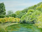  bush day forest grass highres naoy_watercolor nature no_humans original painting_(medium) plant pond scenery sunlight traditional_media tree water watercolor_(medium) 