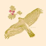  animal animal_focus artist_name berry bird commentary english_commentary flying gatoiberico hawk hawthorn_(plant) highres leaf no_humans original simple_background sparrowhawk 