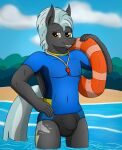  absurd_res anthro black_clothing black_swimwear blue_clothing blue_shirt blue_topwear bodily_fluids bulge clothing equid equine friendship_is_magic grey_body hair hand_on_hip hasbro hi_res horse inflatable inner_ear_fluff inner_tube lifeguard looking_at_viewer male mammal my_little_pony navel nipples partially_submerged pegasus pony shirt smile solo speedo standing standing_in_water sweat swimwear tacomytaco thunderlane_(mlp) topwear tuft water wet wet_hair whistle wings 
