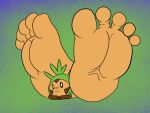  5_toes barefoot big_feet chespin feet foot_fetish foot_focus generation_6_pokemon hi_res huge_feet humanoid_feet hyper hyper_feet large_feet lying marblepan nintendo on_front plantigrade pokemon pokemon_(species) toes unusual_anatomy what 