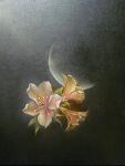  dark flower light mitzoka2001 moon no_humans original painting_(medium) pastel_(medium) plant traditional_media white_flower 