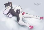  anal anal_penetration anthro anus balls blush butt c0nf1rm canid canine canis domestic_dog fur genitals hi_res husky looking_at_viewer male mammal nordic_sled_dog nude paws penetration simple_background solo spitz 