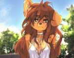  2023 anthro apogee_(tinygaypirate) breasts canid canine canis clothed clothing digital_media_(artwork) domestic_dog female female_anthro floppy_ears fur hair hi_res kemono long_hair mammal piercing small_breasts solo spitz tattoo tinygaypirate 
