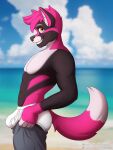  anthro beach briefs bulge clothing cloud fur hi_res hybrid looking_at_viewer male meme outside seaside sebtheredpanda sky solo standing tight_pants_(meme) tighty_whities underwear white_briefs white_clothing white_underwear 