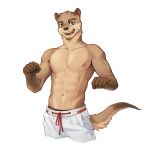  1:1 5_fingers abs anthro athletic athletic_anthro athletic_male band-aid bandage black_nose blue_eyes bottomwear brown_body brown_fur clothing fingers fist fur hi_res looking_at_viewer male mammal mustelid nipples open_mouth otter pants pecs simple_background solo solo_focus standing tail tuft white_background white_bottomwear white_clothing white_pants wizper_baobao 
