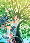  1girl absurdres bag bicycle black_skirt bow brown_hair dated day from_below highres kanai_(nai_nai) medium_hair original outdoors red_bow riding riding_bicycle school_bag shirt shoes short_sleeves skirt sneakers socks summer tree white_footwear white_shirt white_socks 