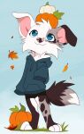  2023 anthro aseethe autumn black_body black_fur blue_eyes bottomwear canid canine canis cheek_tuft clothed clothing digital_media_(artwork) dipstick_tail domestic_dog facial_tuft floppy_ears food fruit fully_clothed fur grey_body grey_fur head_tuft hi_res hoodie leaf mammal markings plant pumpkin shorts signature smile solo spots spotted_body spotted_fur tail tail_markings topwear tuft white_body white_fur 