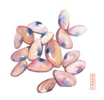 392610595 artist_name clam commentary_request food food_focus highres no_humans original painting_(medium) shadow simple_background still_life traditional_media watercolor_(medium) white_background 