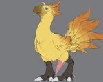  avian beak benji_(artist) blush bodily_fluids chocobo erection feathers feral final_fantasy genitals male penis solo square_enix sweat talons 